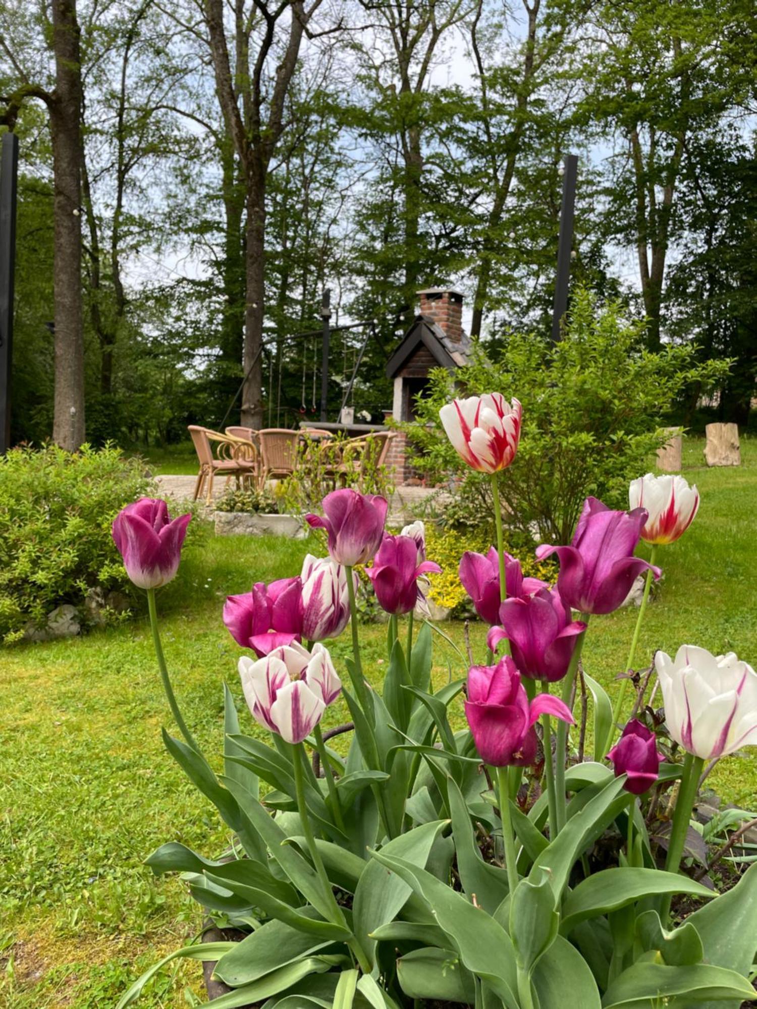 La Villa Emilie Durbuy Exteriör bild